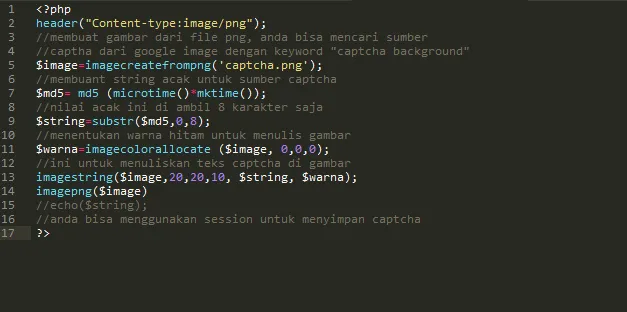 Captcha Script